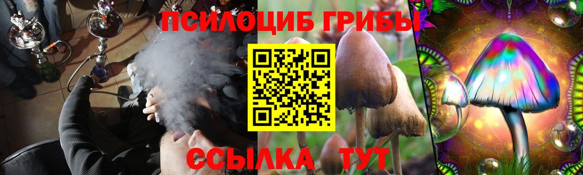 Галлюциногенные грибы ЛСД  Вход с VPN  Междуреченск 